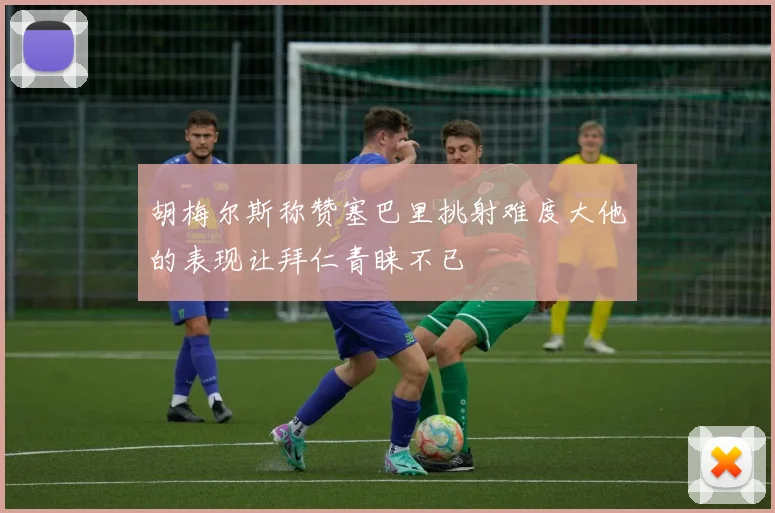 胡梅尔斯称赞塞巴里挑射难度大他的表现让拜仁青睐不已