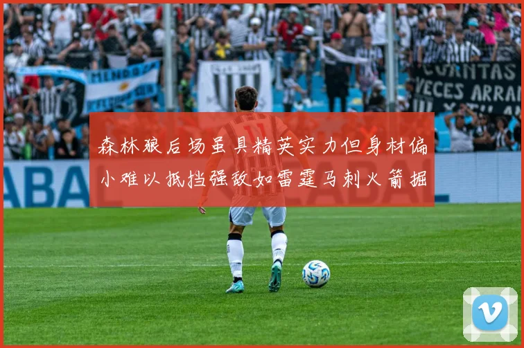 森林狼后场虽具精英实力但身材偏小难以抵挡强敌如雷霆马刺火箭掘金