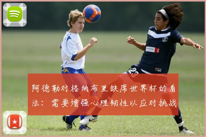 阿德勒对格纳布里缺席世界杯的看法：需要增强心理韧性以应对挑战
